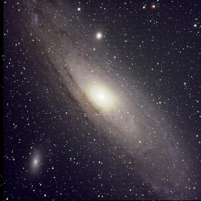 M31