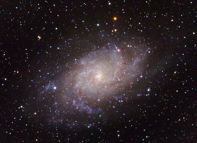 M33