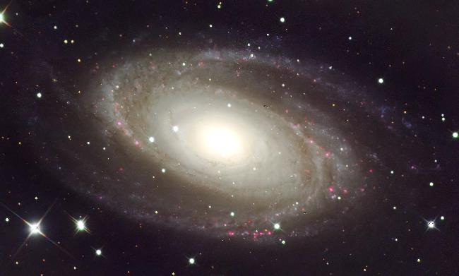 M81