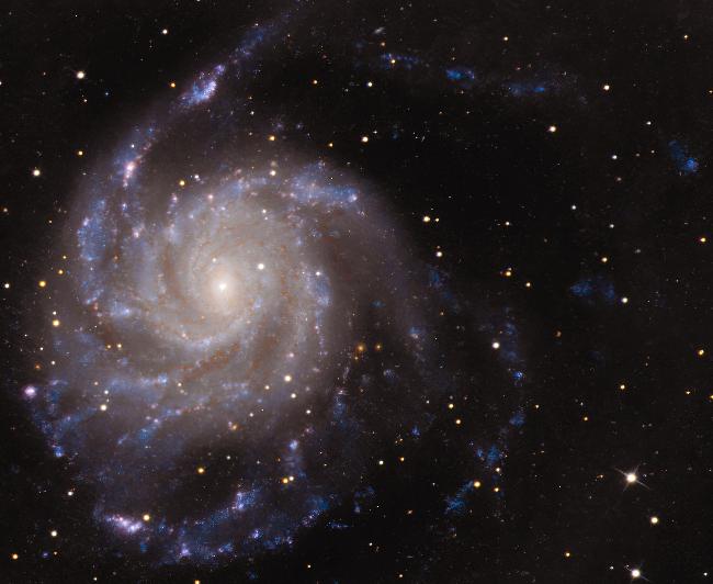 M101