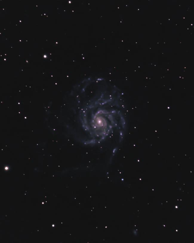 M101 - galaxie du moulinet