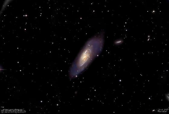 Télescope Skywatcher EQ6 R PRO + Tube Photon 203/800 + Camera et autres accessoires