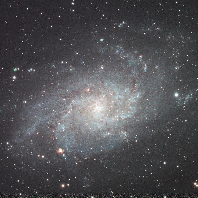 M33
