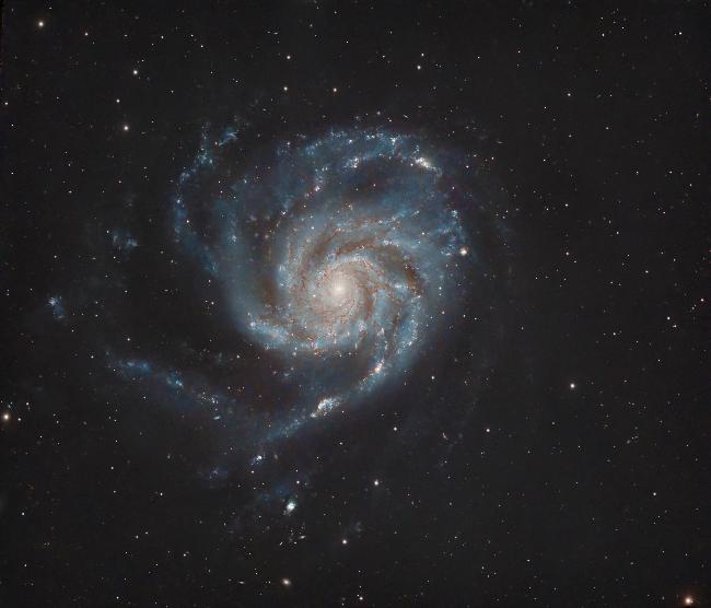 M101