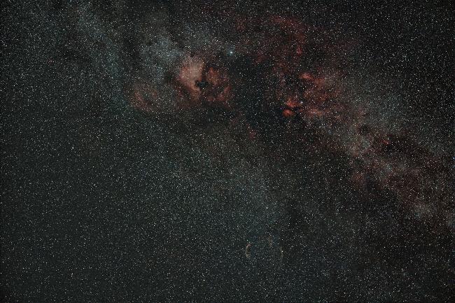 Cygne grand champ: America, dentelles,...