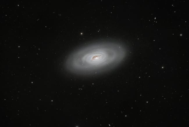 M64_oeil noir