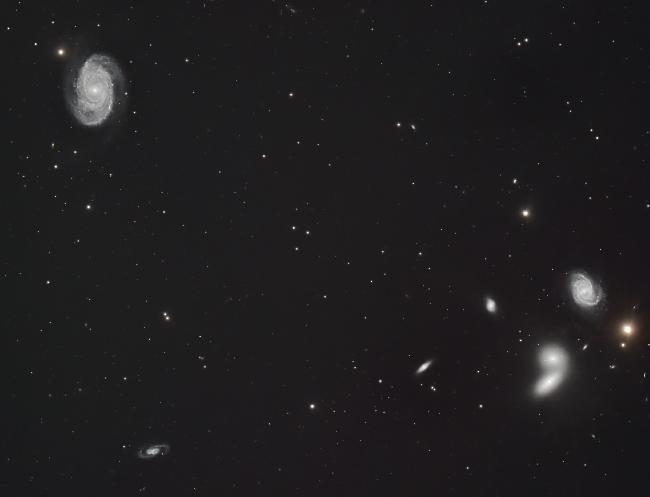 NGC5353_5350_5371_Chien de chasse