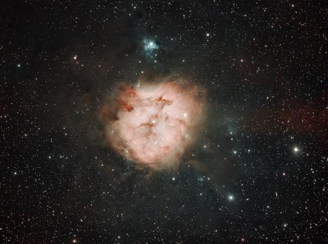 IC5146_cocoon