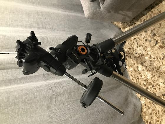 Monture Celestron Advanced VX AVX GoTo