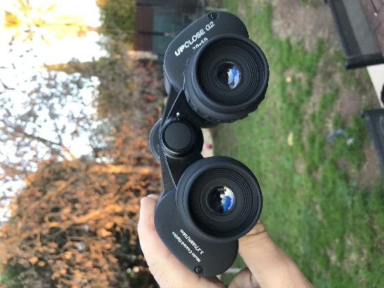 LOT JUMELLES CELESTRON 
