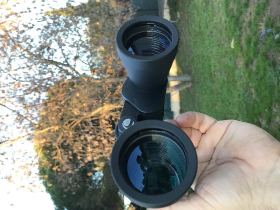 LOT JUMELLES CELESTRON 