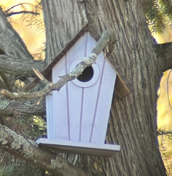 Jumelles Zoom Celestron UpClose 10-30x50