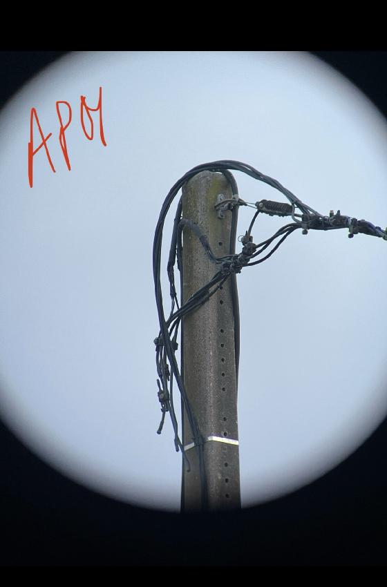 JUMELLES APM 25x100ED