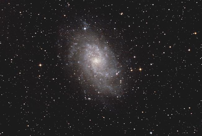 M33
