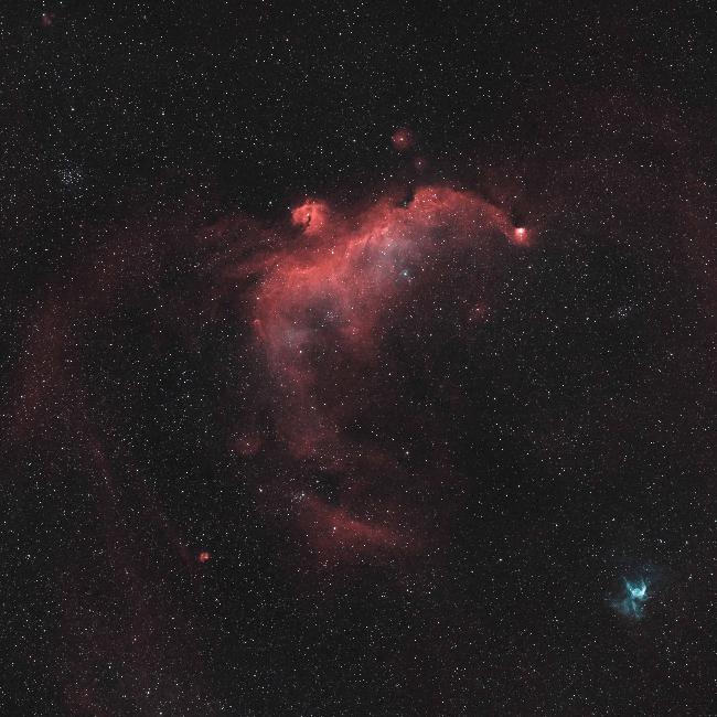 La Mouette et Casque de Thor