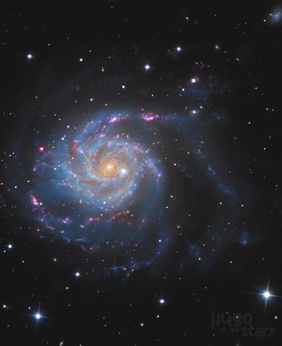 Monture equatoriale motorisée Skywatcher Neq5