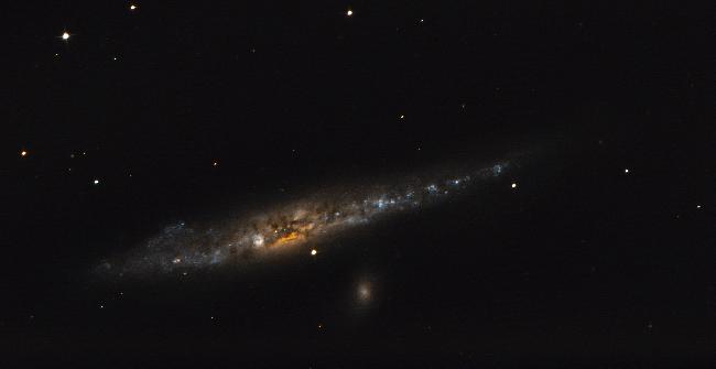 Galaxie de la Baleine