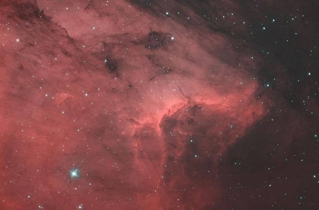 nébuleuse du pélican