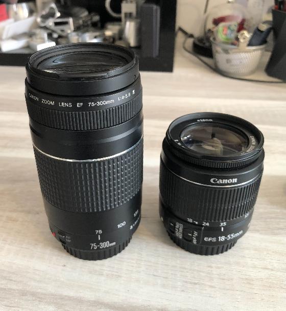 objectis Canon 18-55mm f/3.5-5.6 IS II & Canon 75-300mm f/4.0-5.6 III