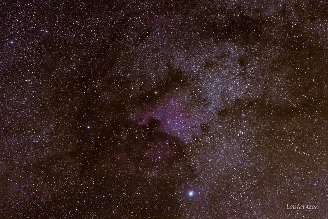 NGC7000, nébuleuse america.