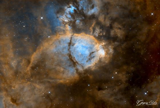 Monture Celestron AVX avec accessoires