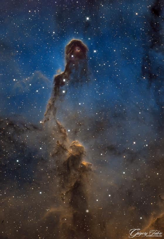 Monture Celestron AVX avec accessoires