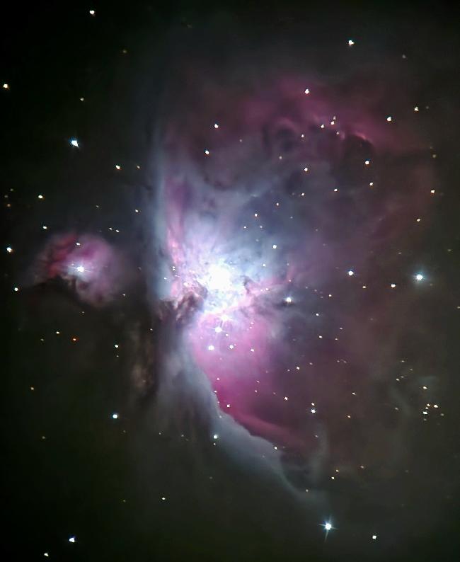 M42 - Nébuleuse d'Orion 
