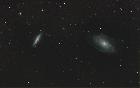 M81-82