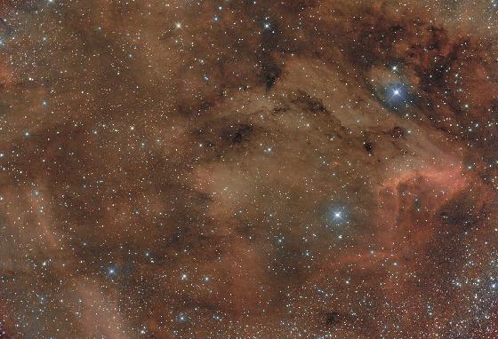 Le pelican, migration 2016