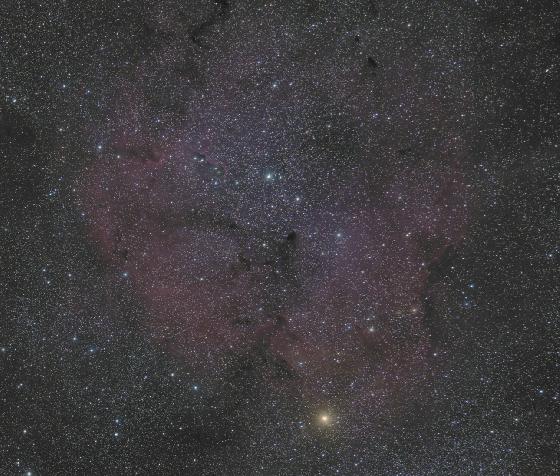 IC1396