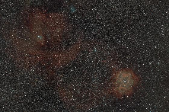 Champ rosette  by Mejean