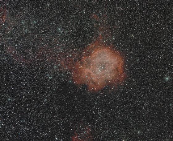 Rosette en grand champ