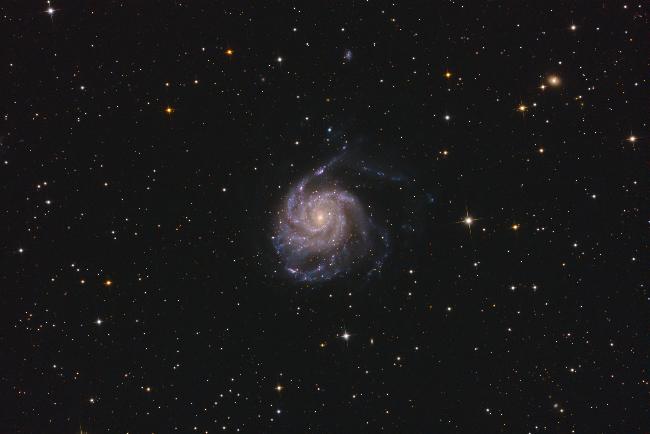 M 101
