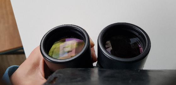 Jumelles Leica Trinovid 10x42 BN