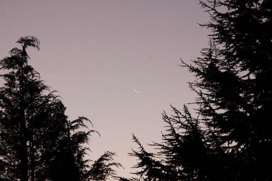 Lever de Lune en Beauce
