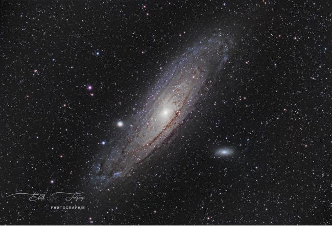 m31 