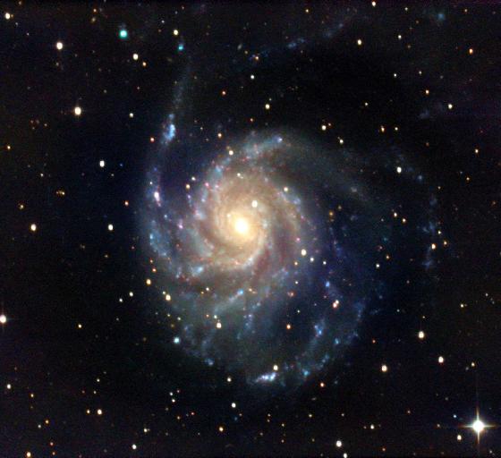 Omegon 203/2436 FD12 - 750€