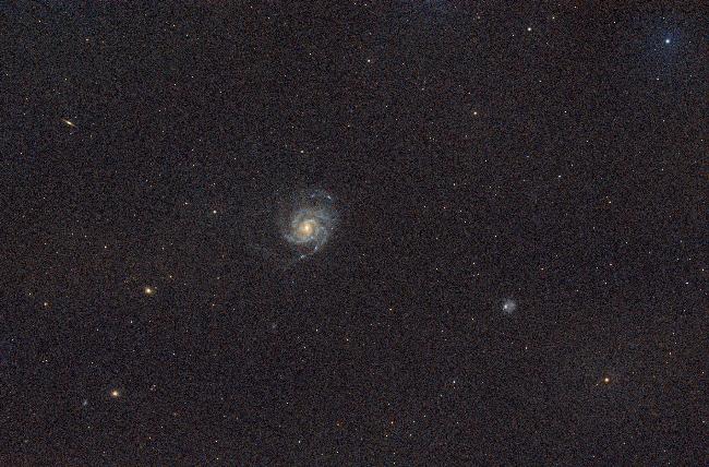 M101