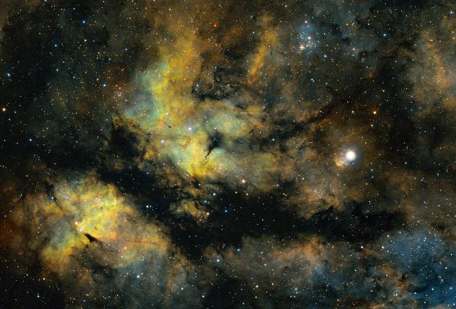 IC1318 SHO Nébuleuse du papillon