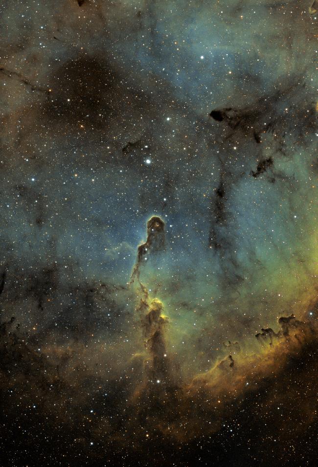 IC1396 SHO - Nébuleuse de la trompe d'éléphant