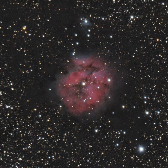 Celestron C11 + Losmandy G11