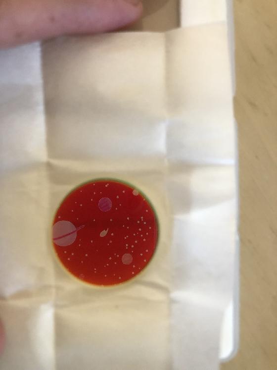 Jeu de 4 filtres ZWO LRGB 31 mm non monté