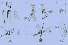 Fixation tubes