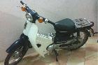 Honda Super Cub 1981
