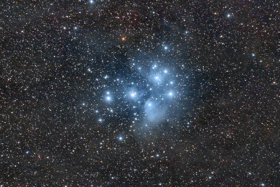 m45benjnant