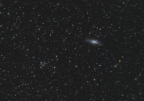 ngc7331
