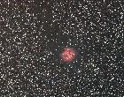Cocon IC 5146