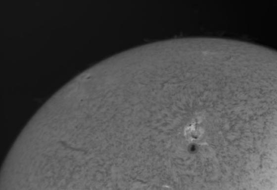 Daystar quark gemini 