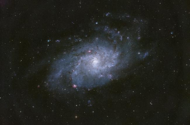M33