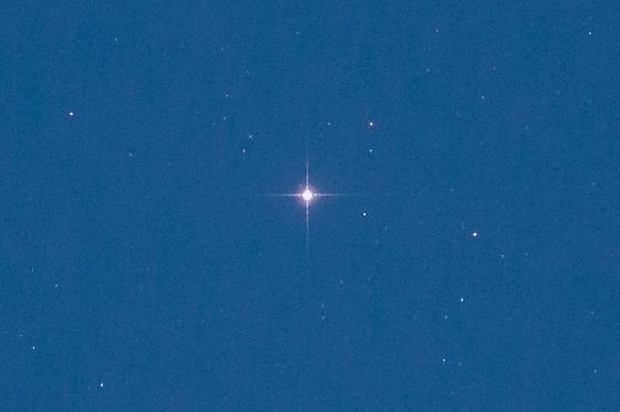 Masque aigrette 80ED